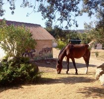 Borgo di Campagna Loiri Porto San Paolo